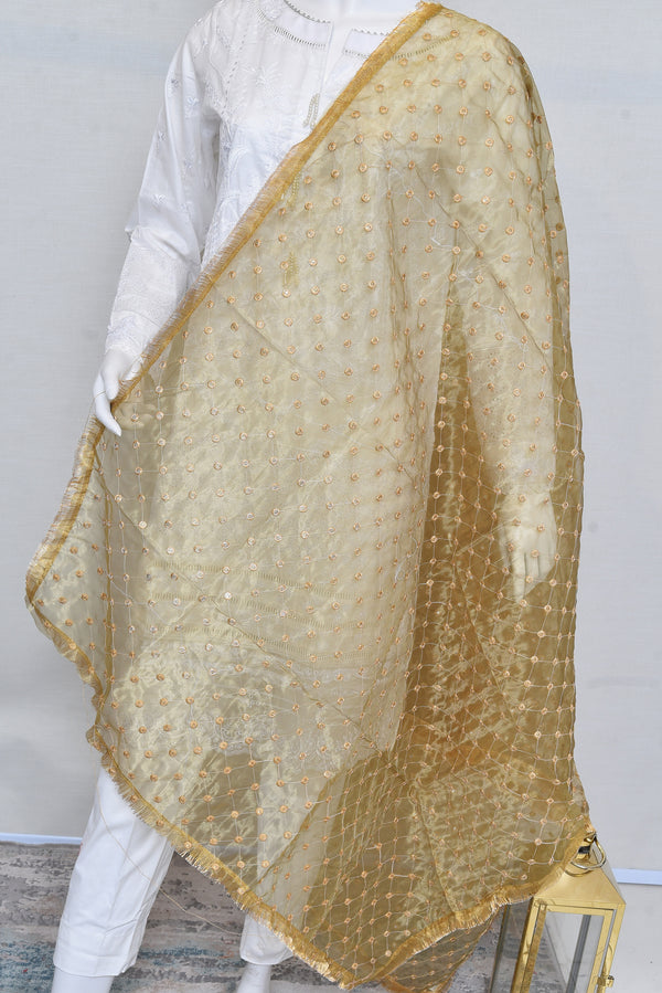 Dupatta - 032622112