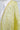 Dupatta - 032622171